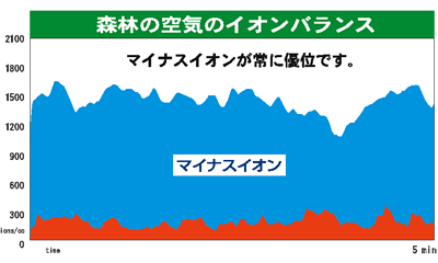 森林の空気環境はマイナスイオンリッチの癒し空間です。